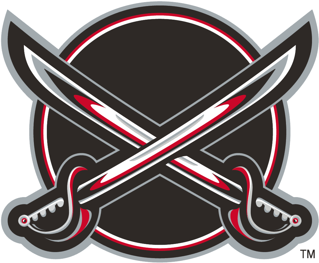 Buffalo Sabres 2000-2006 Alternate Logo t shirts iron on transfers